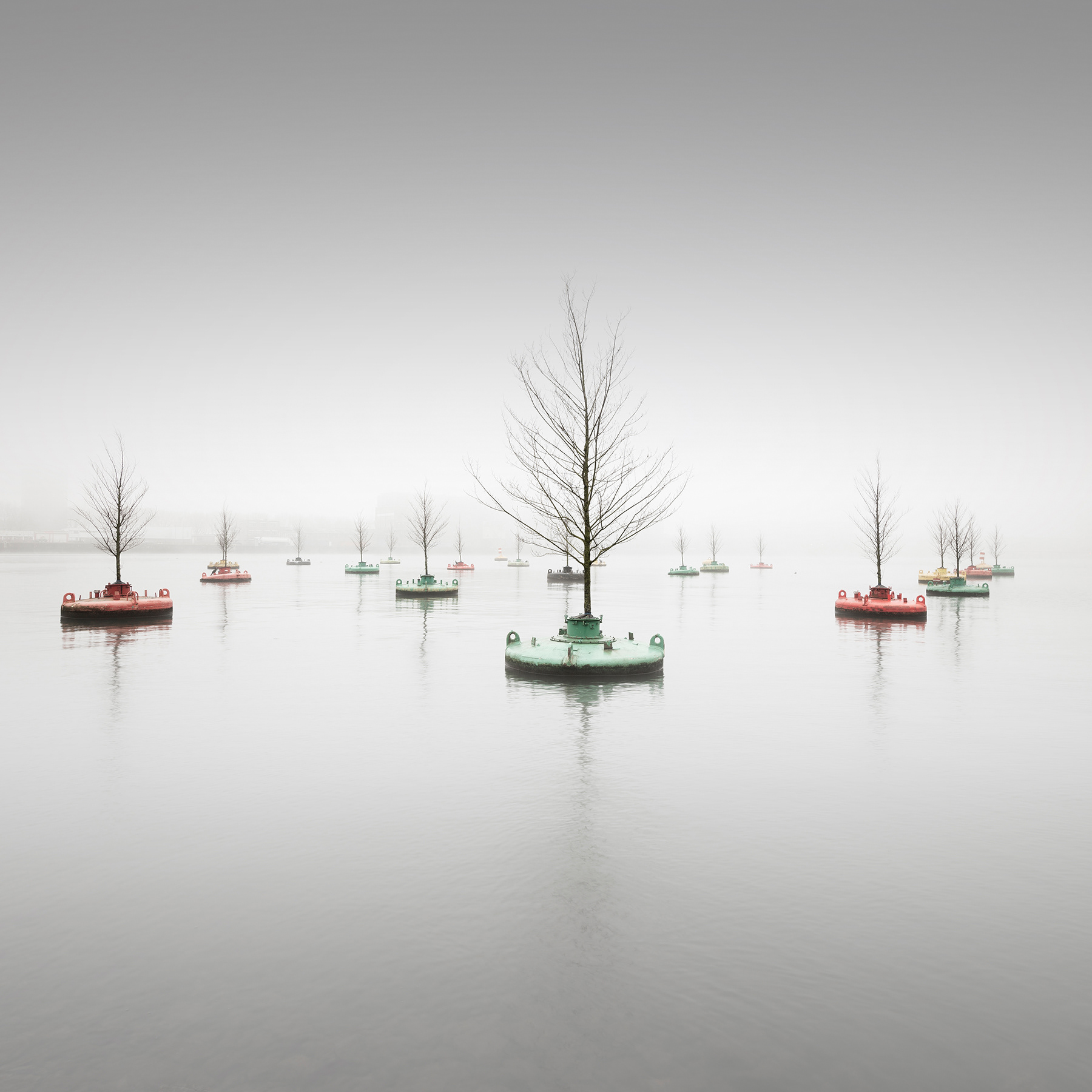Floating Woods
