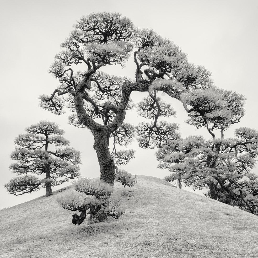 Hinokuchiyama Hill II