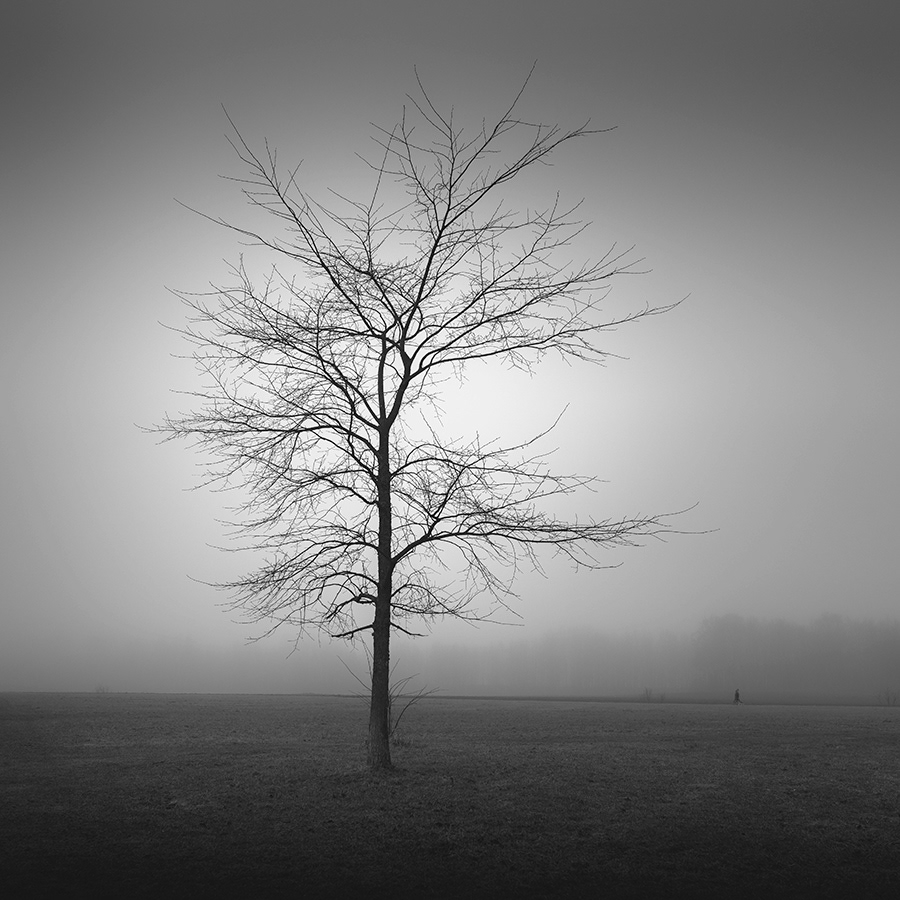 Elegy