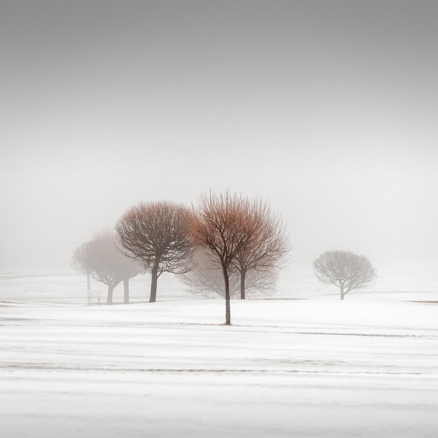 Winter Poetry III