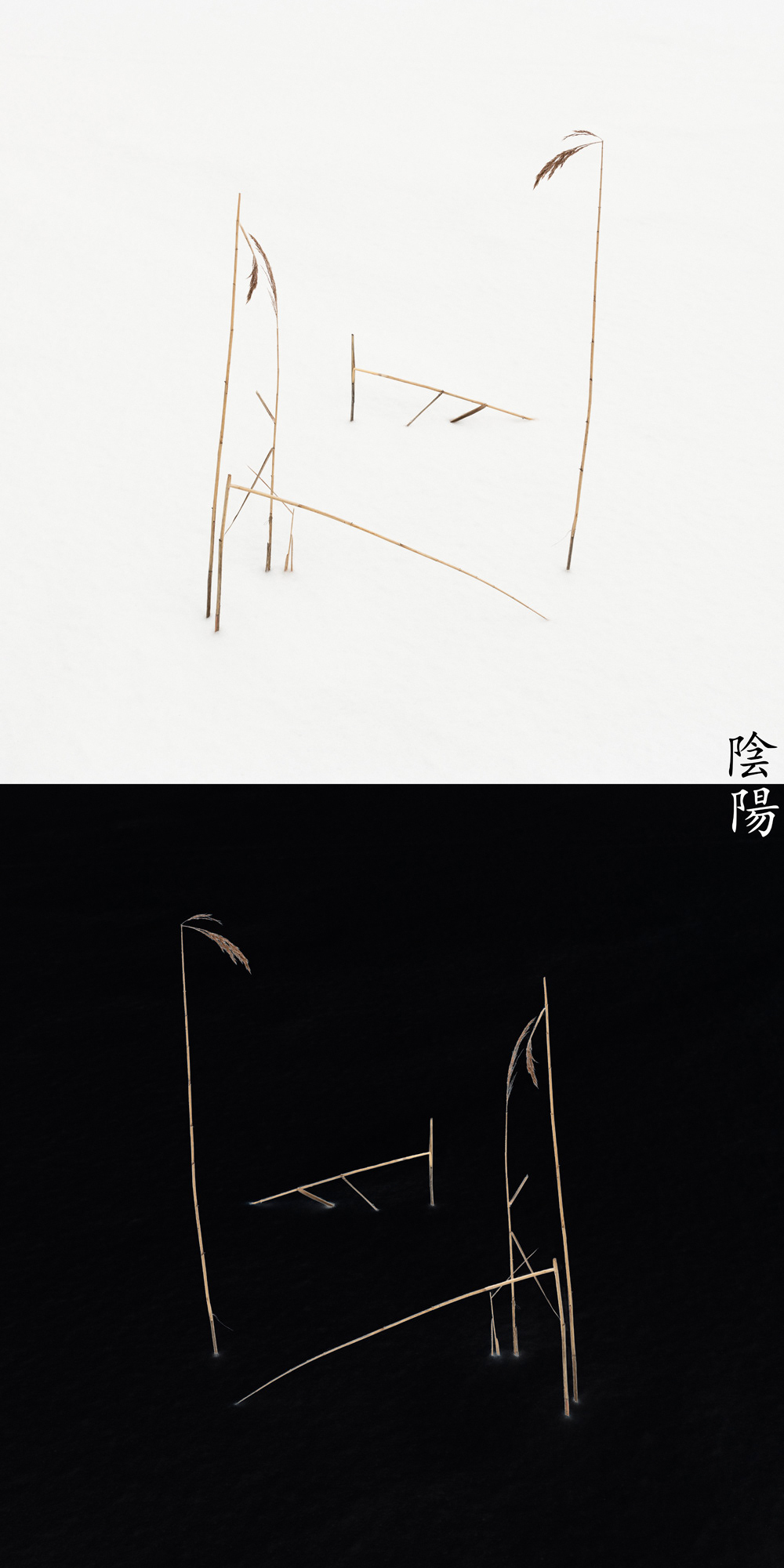 Reed Calligraphy - Yin Yang ed. No.03