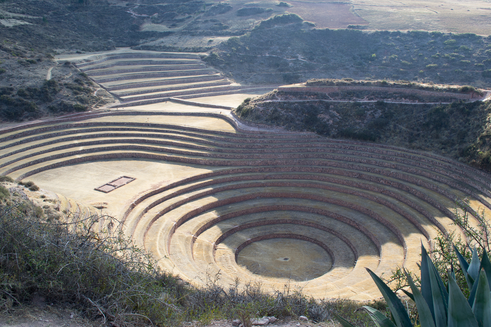 Moray