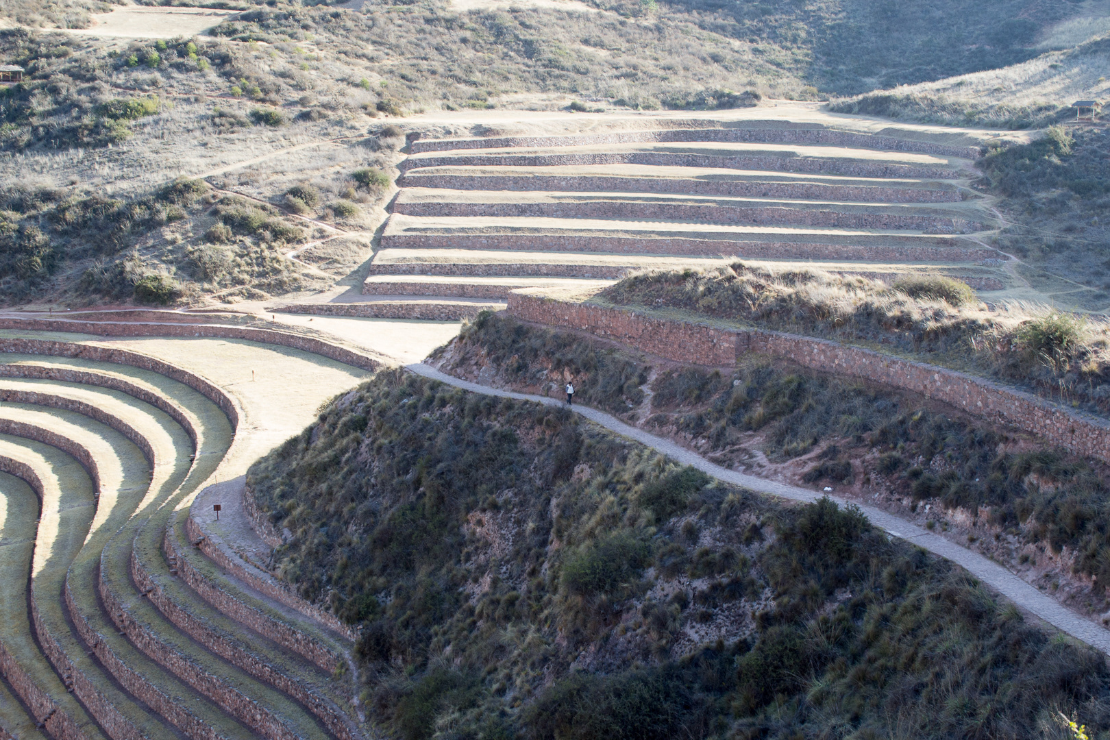 Moray