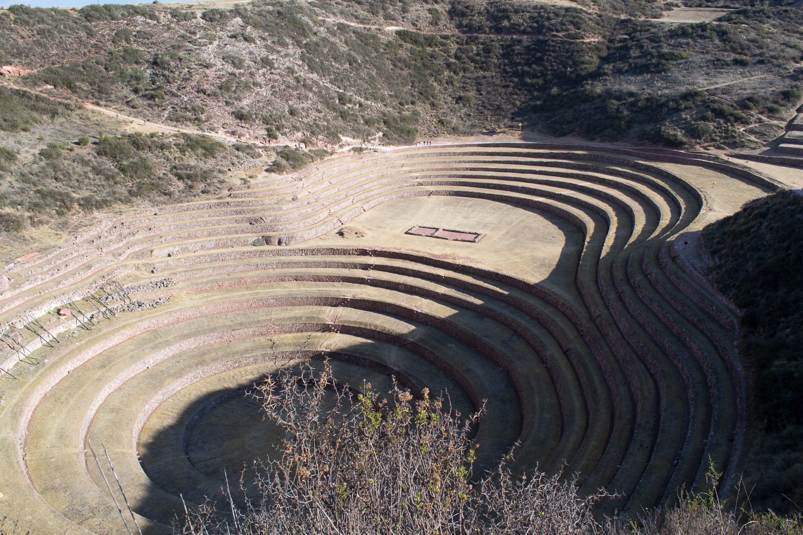 Moray