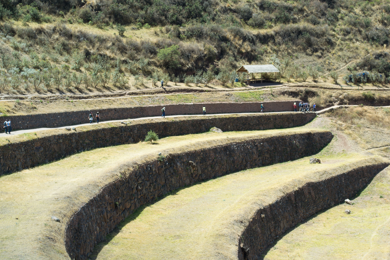 Pisac: terrazas de cultivo