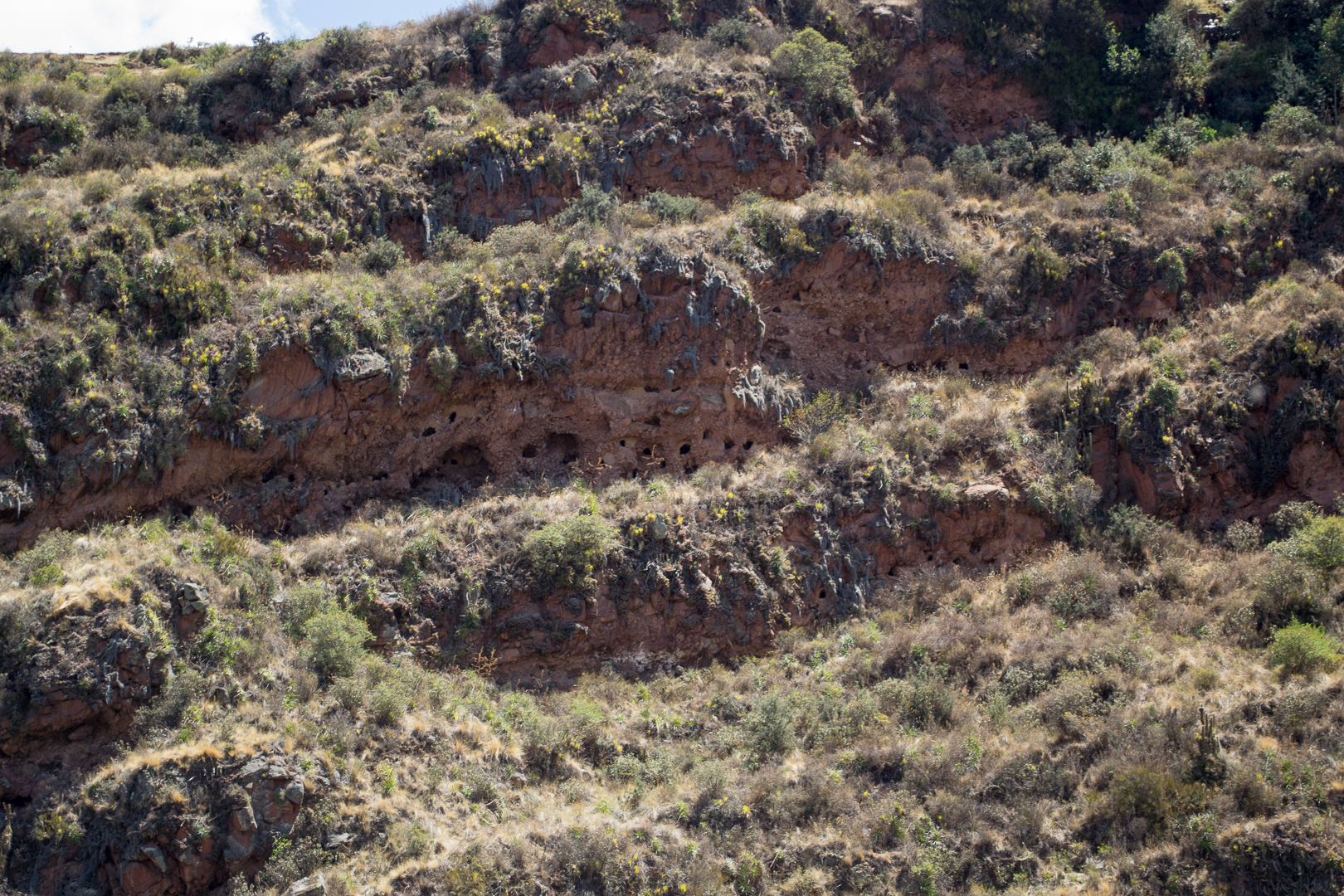 Pisac. Tumbas incas