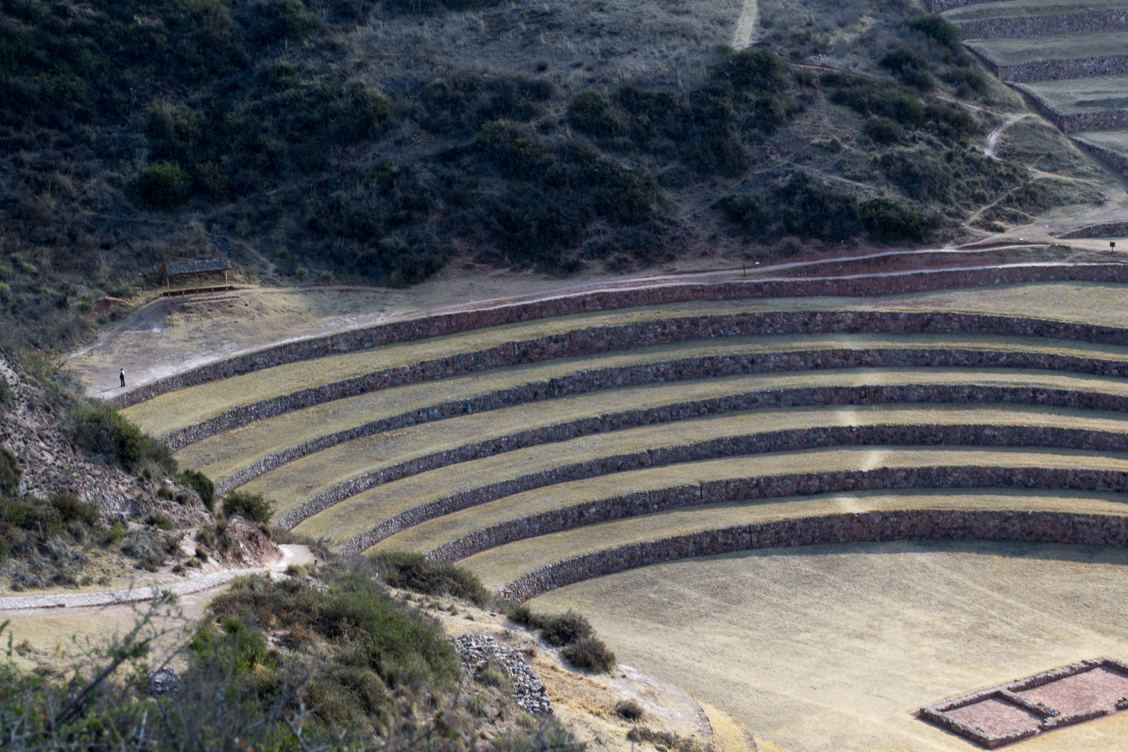 Moray