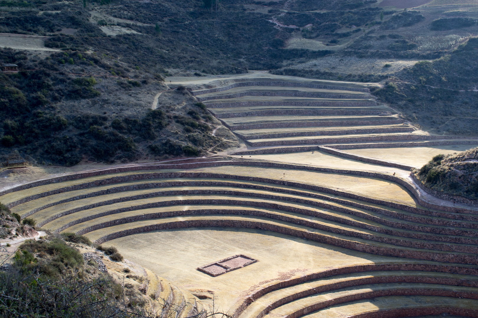 Moray
