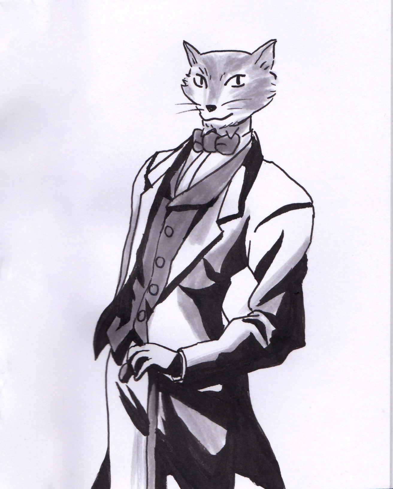 suit