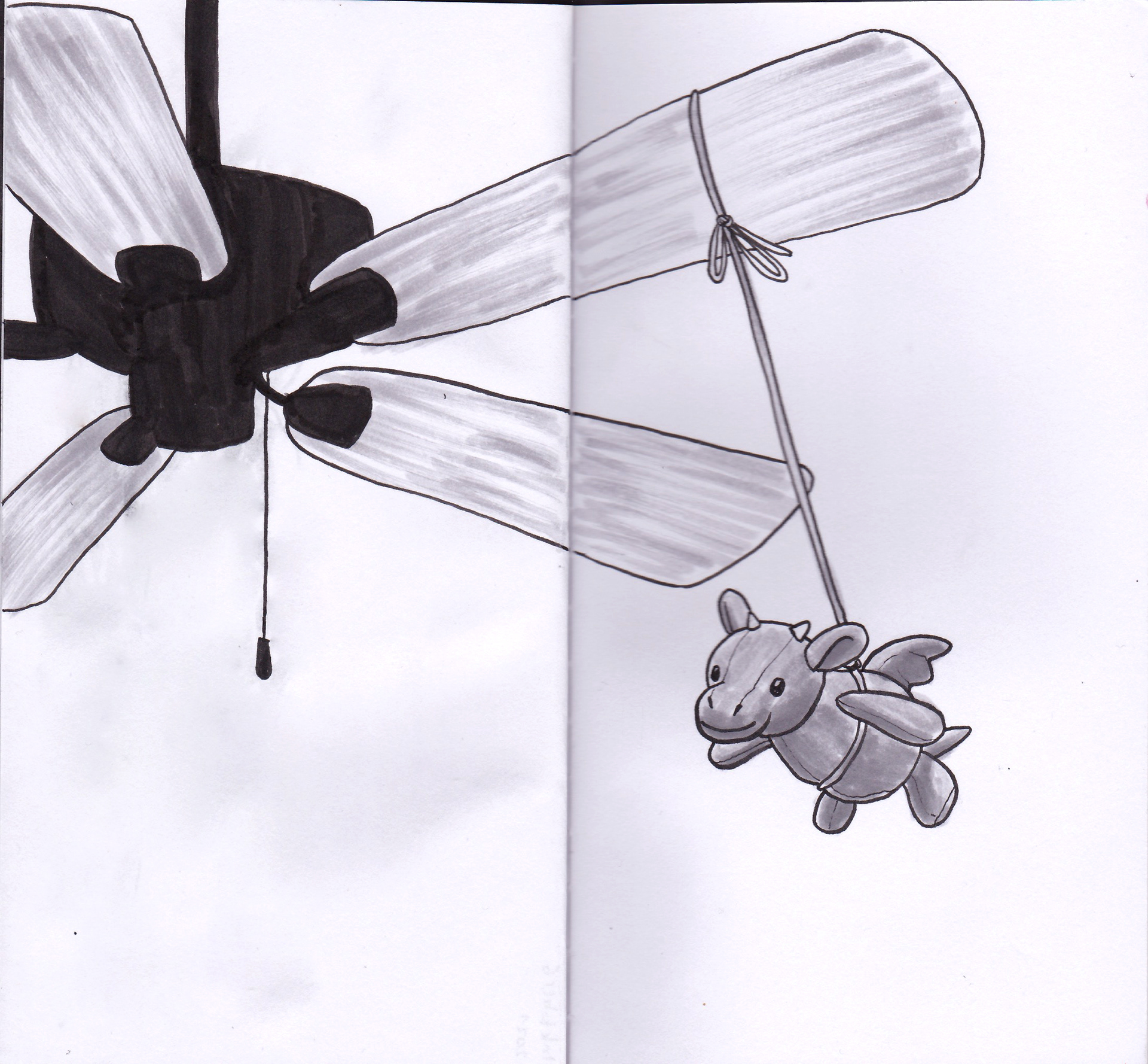 fan