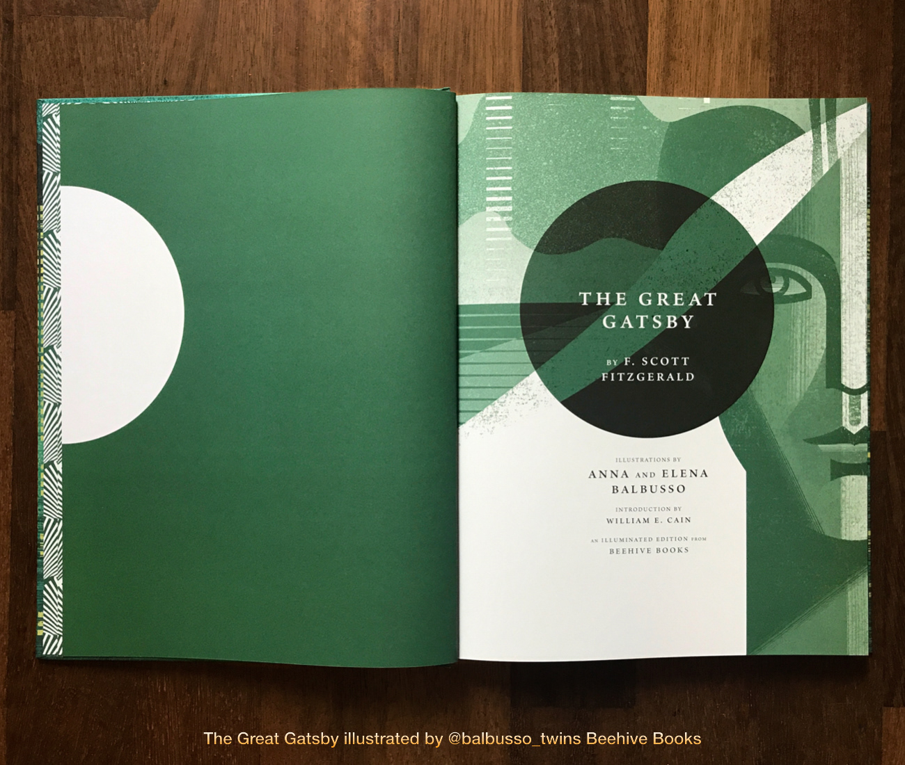 The Great Gatsby Beehive Books