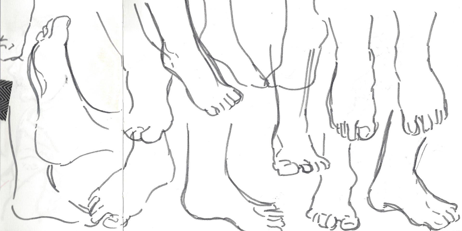 Studies - feet
