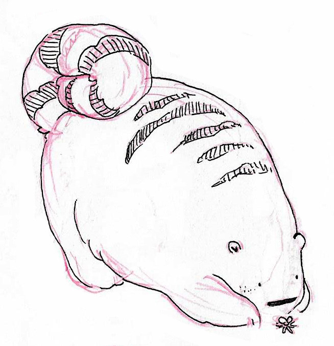 Charakterdesign - Beaverbear