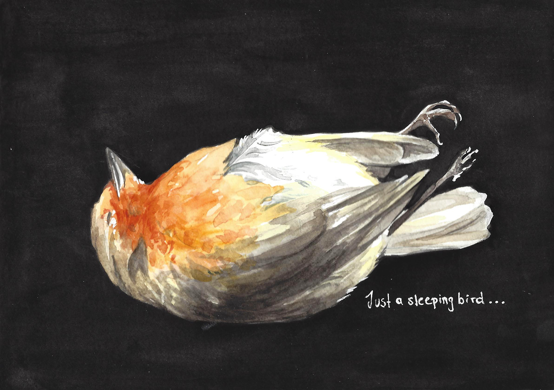 Sketch - Just a sleeping bird