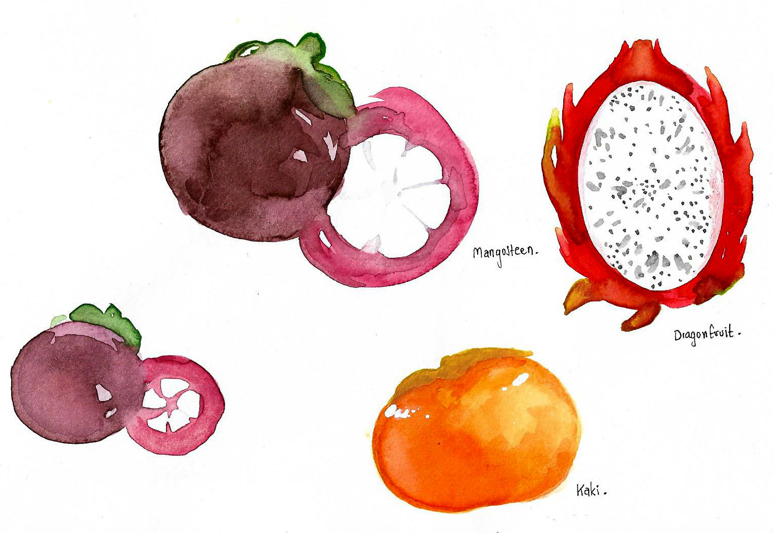 My favorit exotic fruits in watercolor
