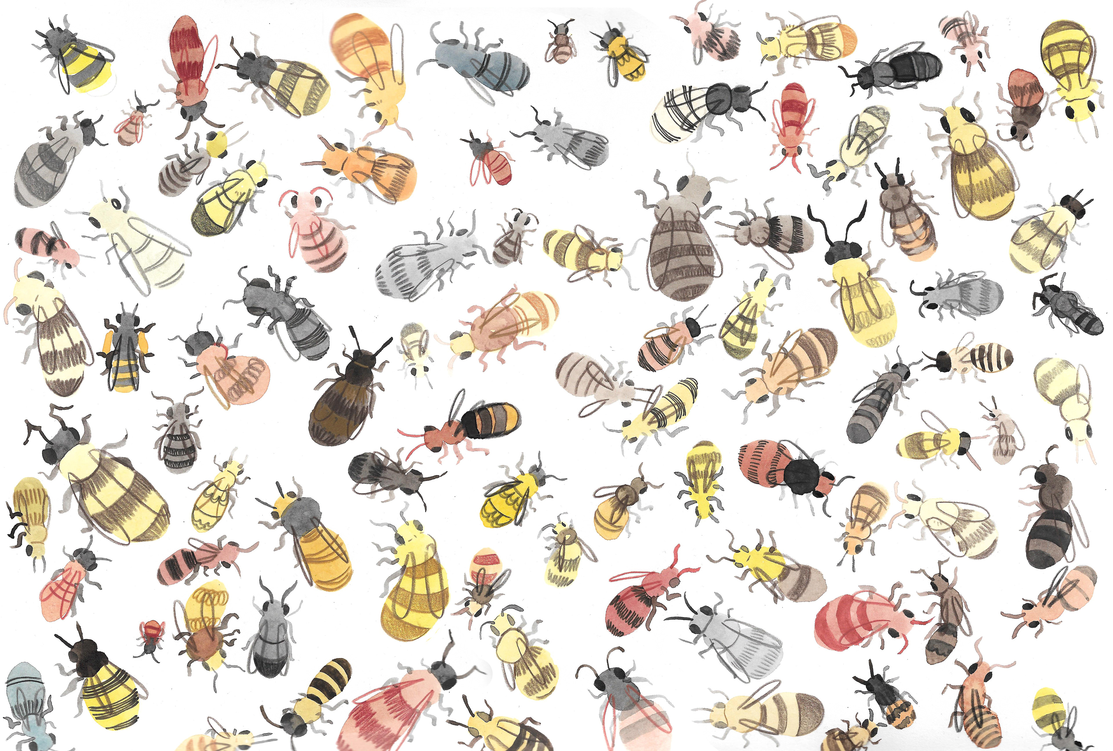 Bienen - Illustration für mein Kinderbuch "Machen alle Bienen Honig?"