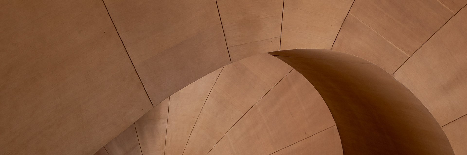 Frank Gehry designed staircase at the Art Gallery of Ontario.