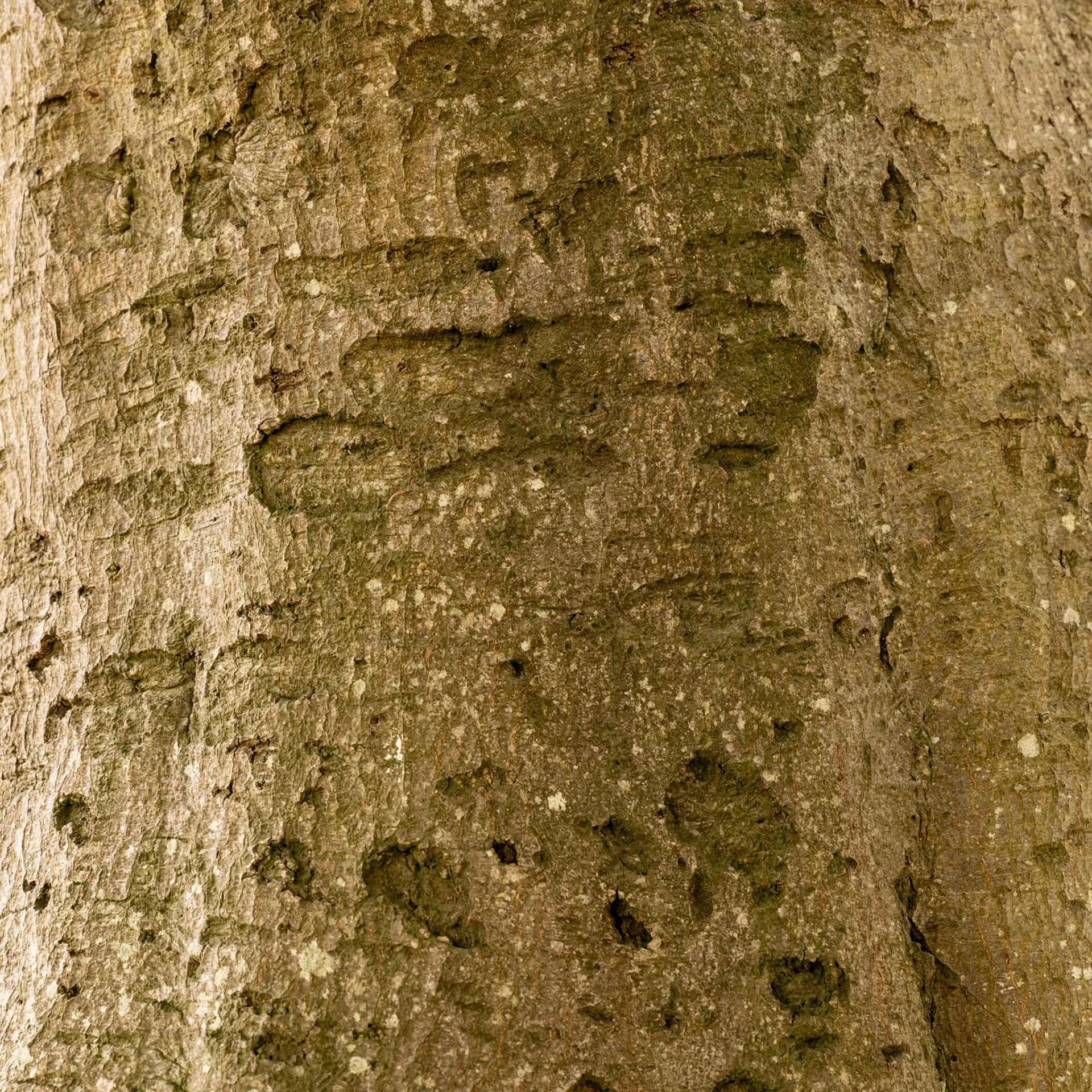 texture