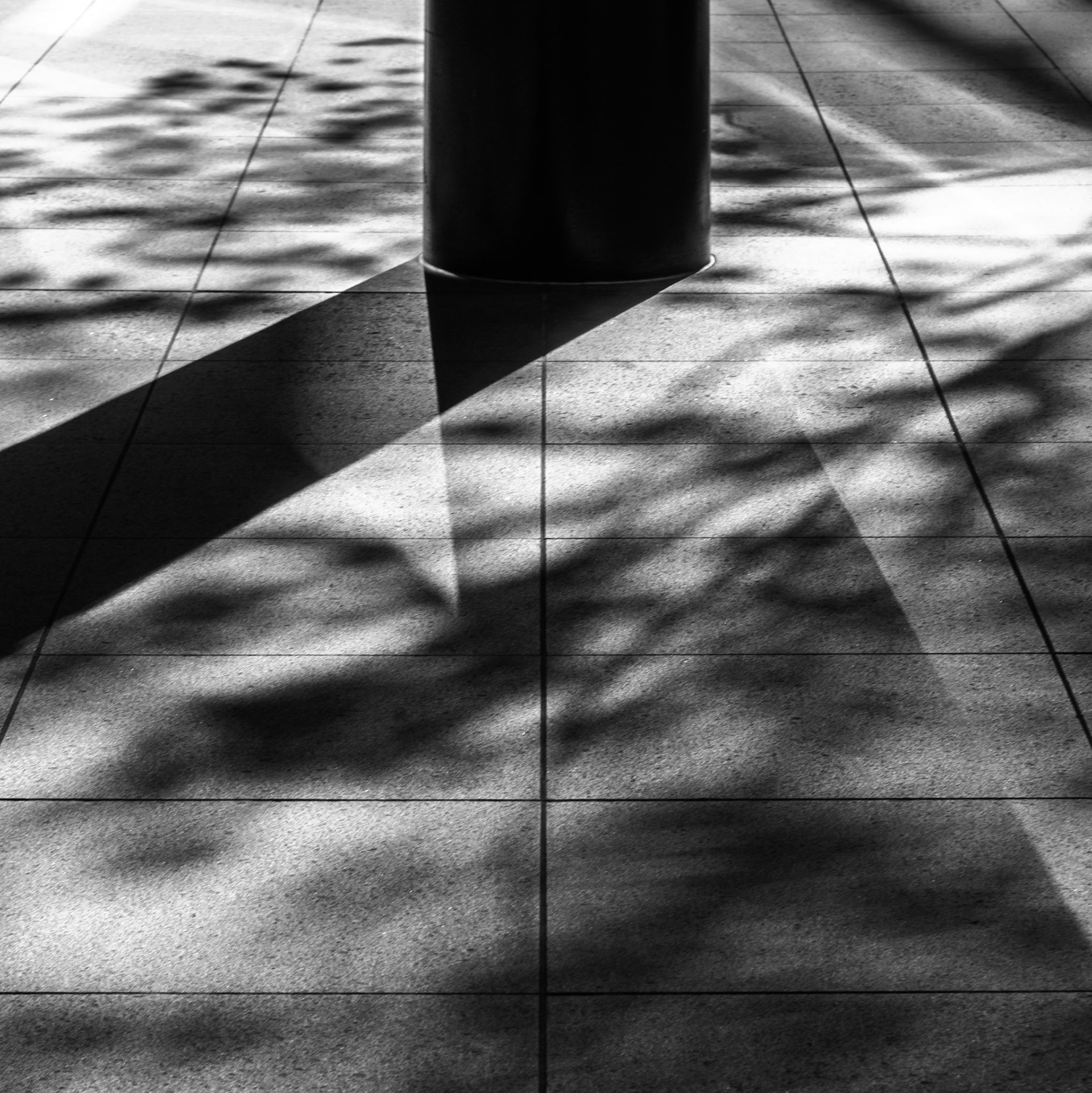 column study