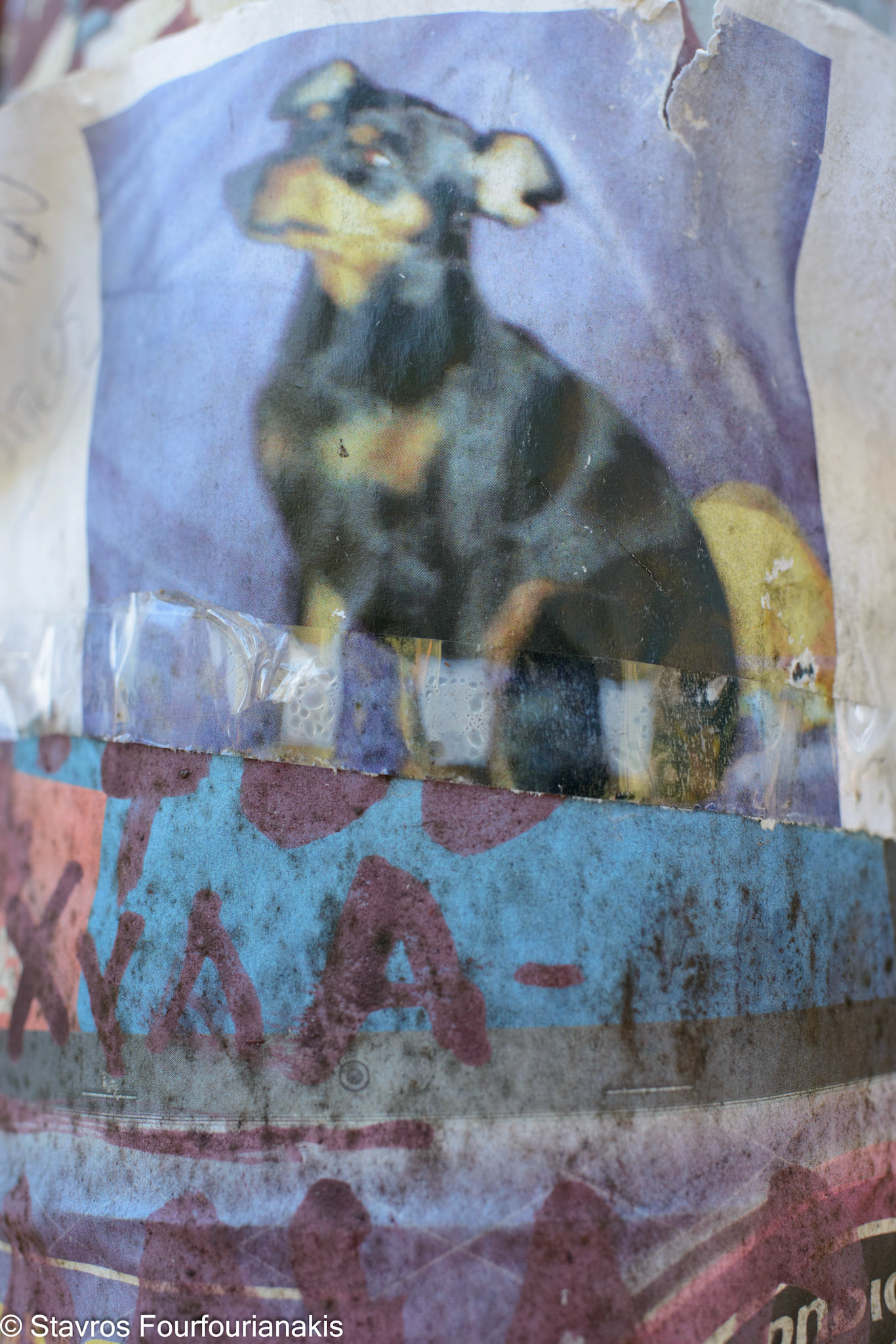 Athens, 2014