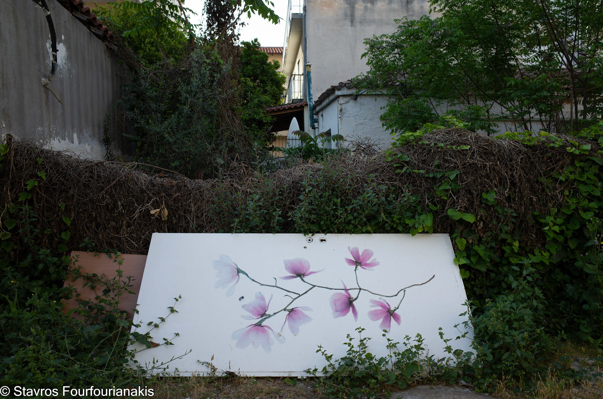 Athens, 2017