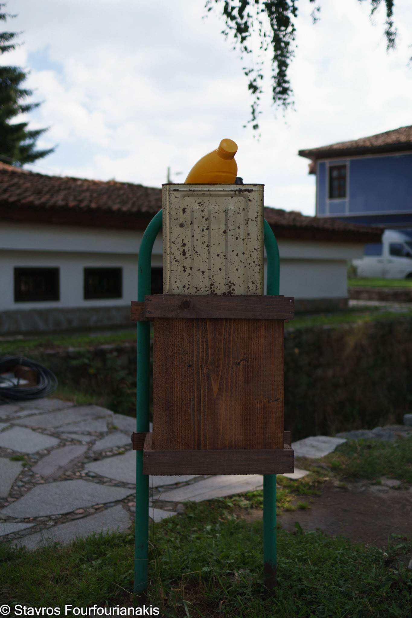 Plodviv, 2017