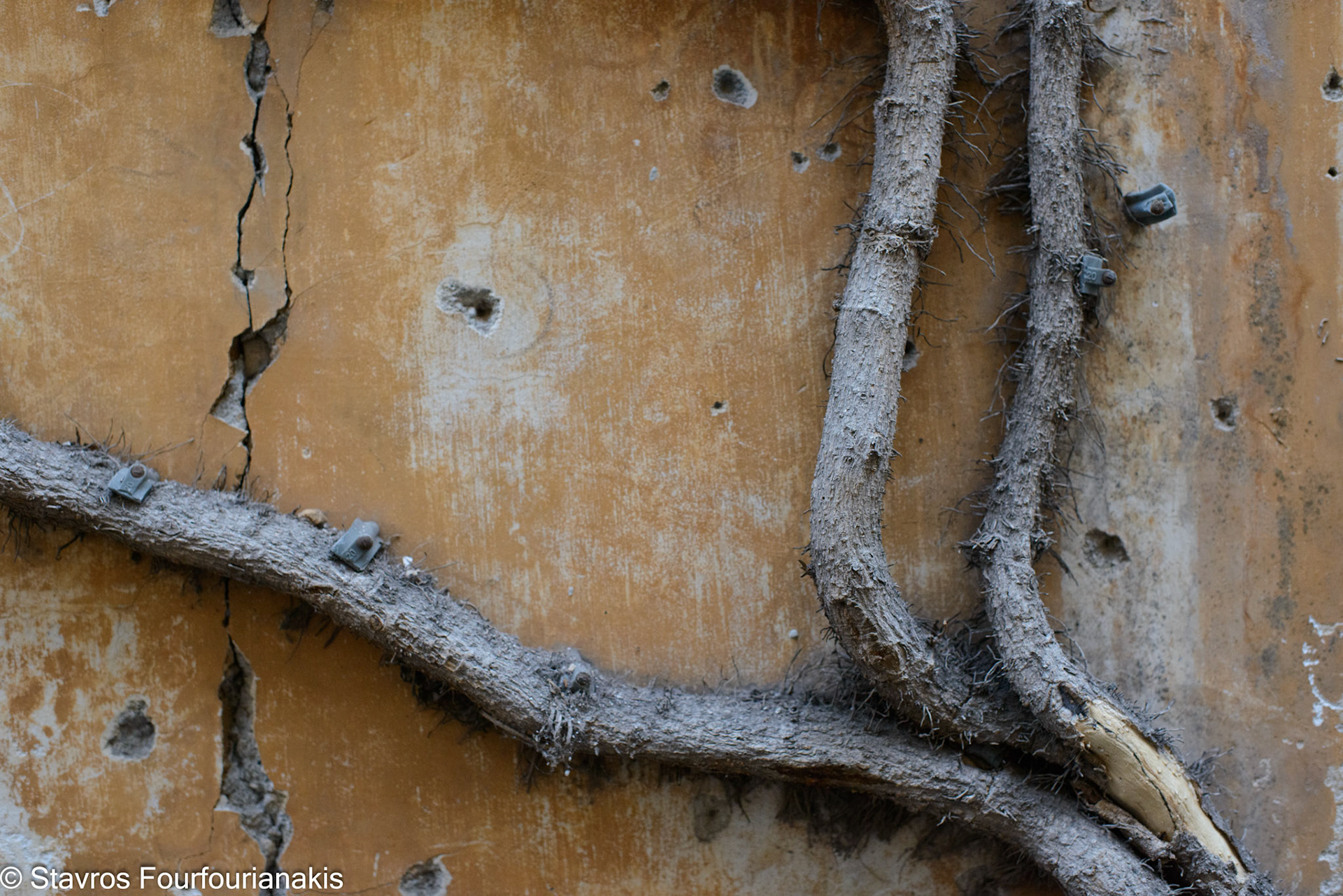 Rome, 2013