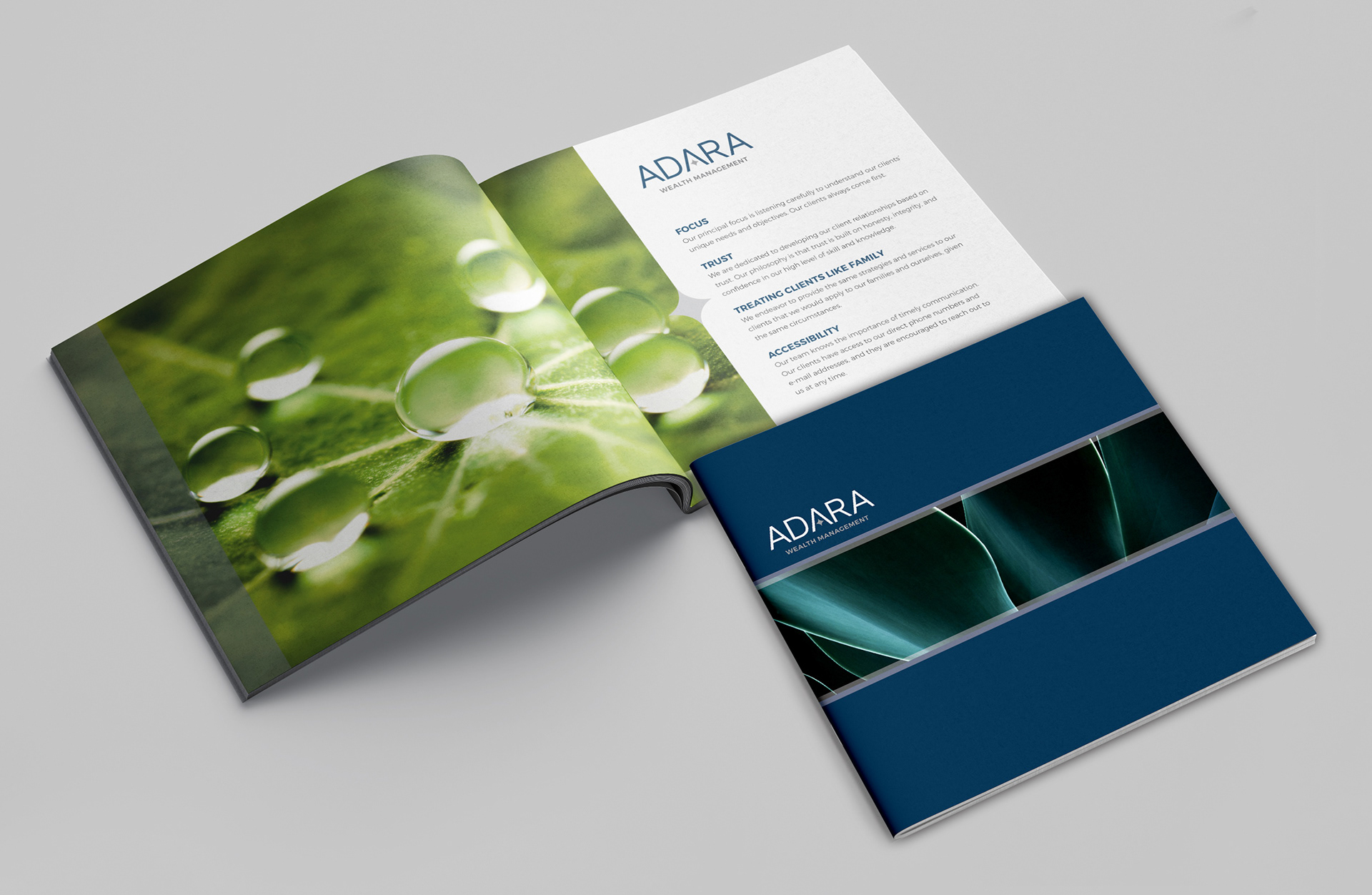 Branding and Marketing collateral for Adara Wealth Management company located in Tucson, Arizona