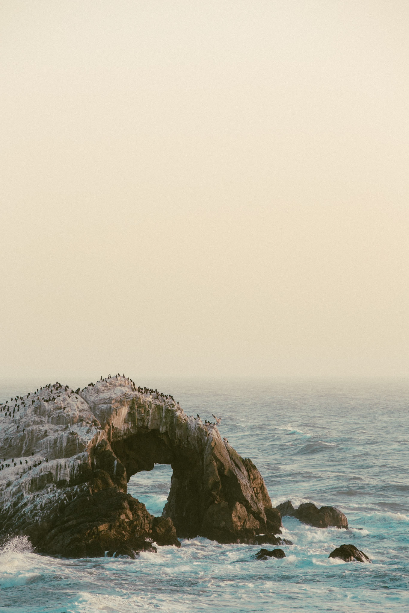 Photo by Sara Clausnitzer (www.saraclausnitzer.com)