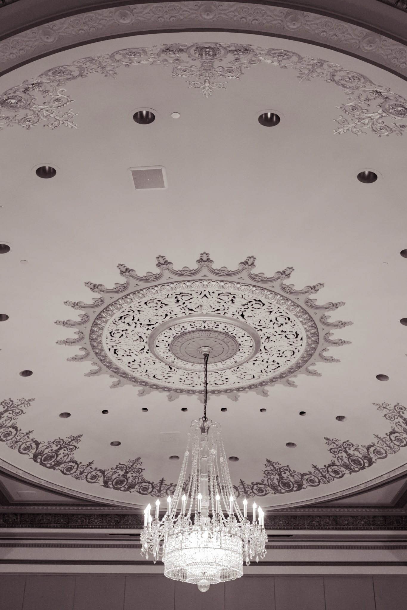 Photo by Sara Clausnitzer (www.saraclausnitzer.com)