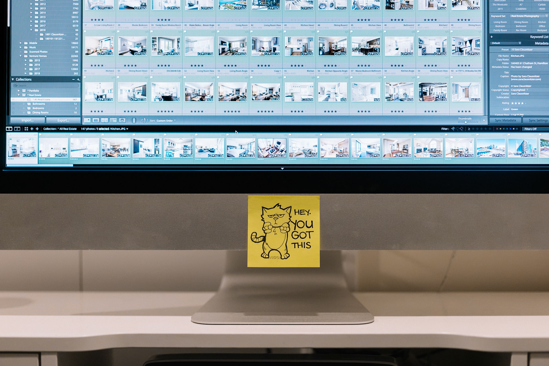 022/365 Motivational Cat