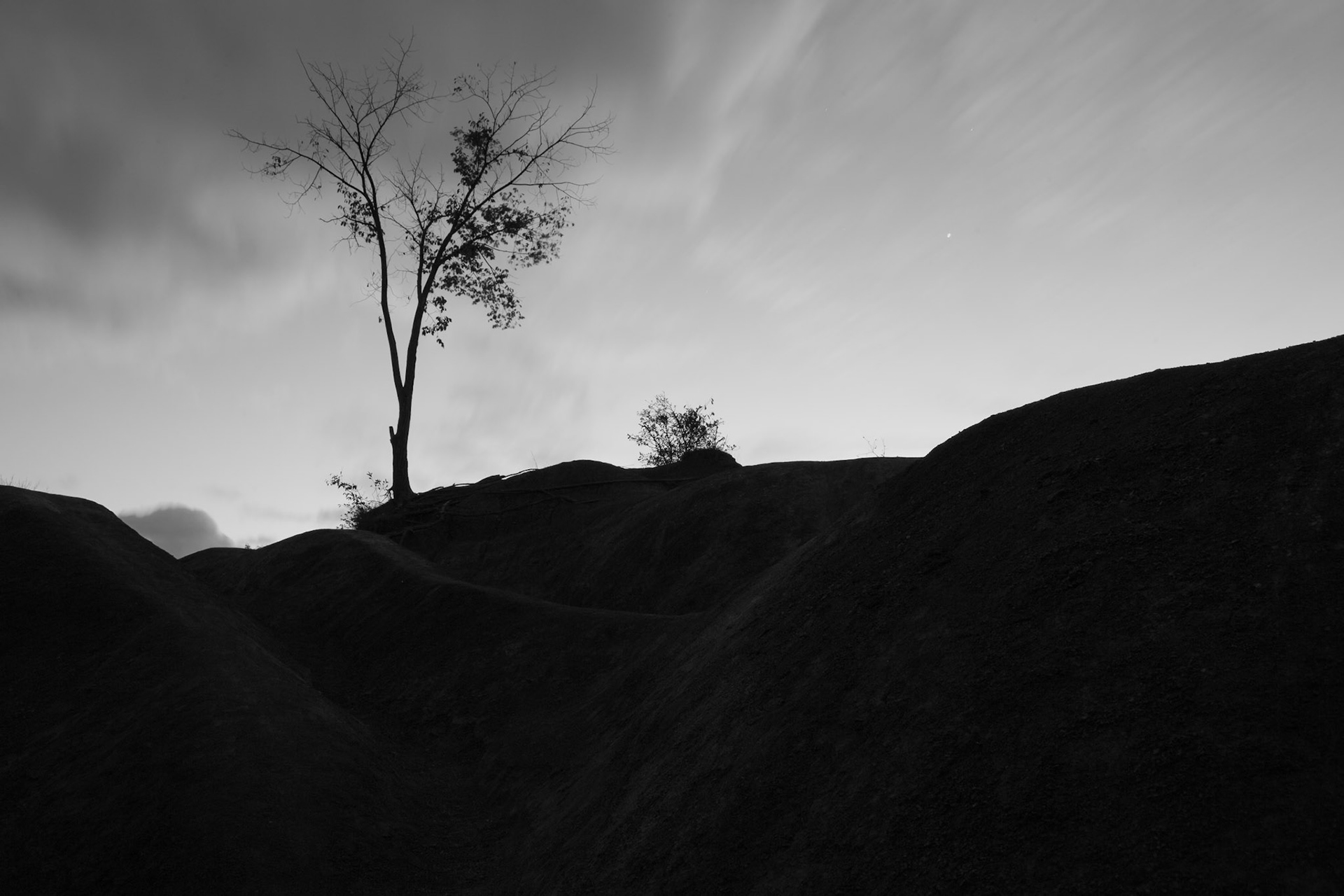 Photo by Sara Clausnitzer (www.saraclausnitzer.com)