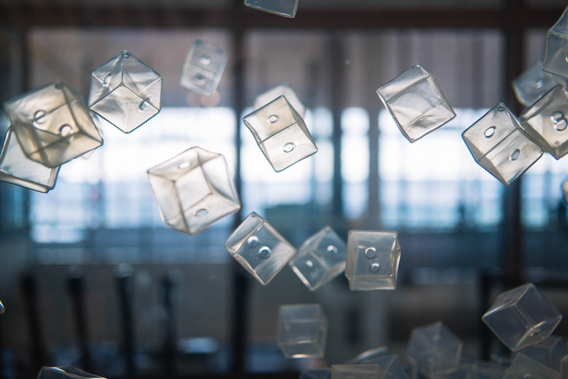 Photo by Sara Clausnitzer (www.saraclausnitzer.com)