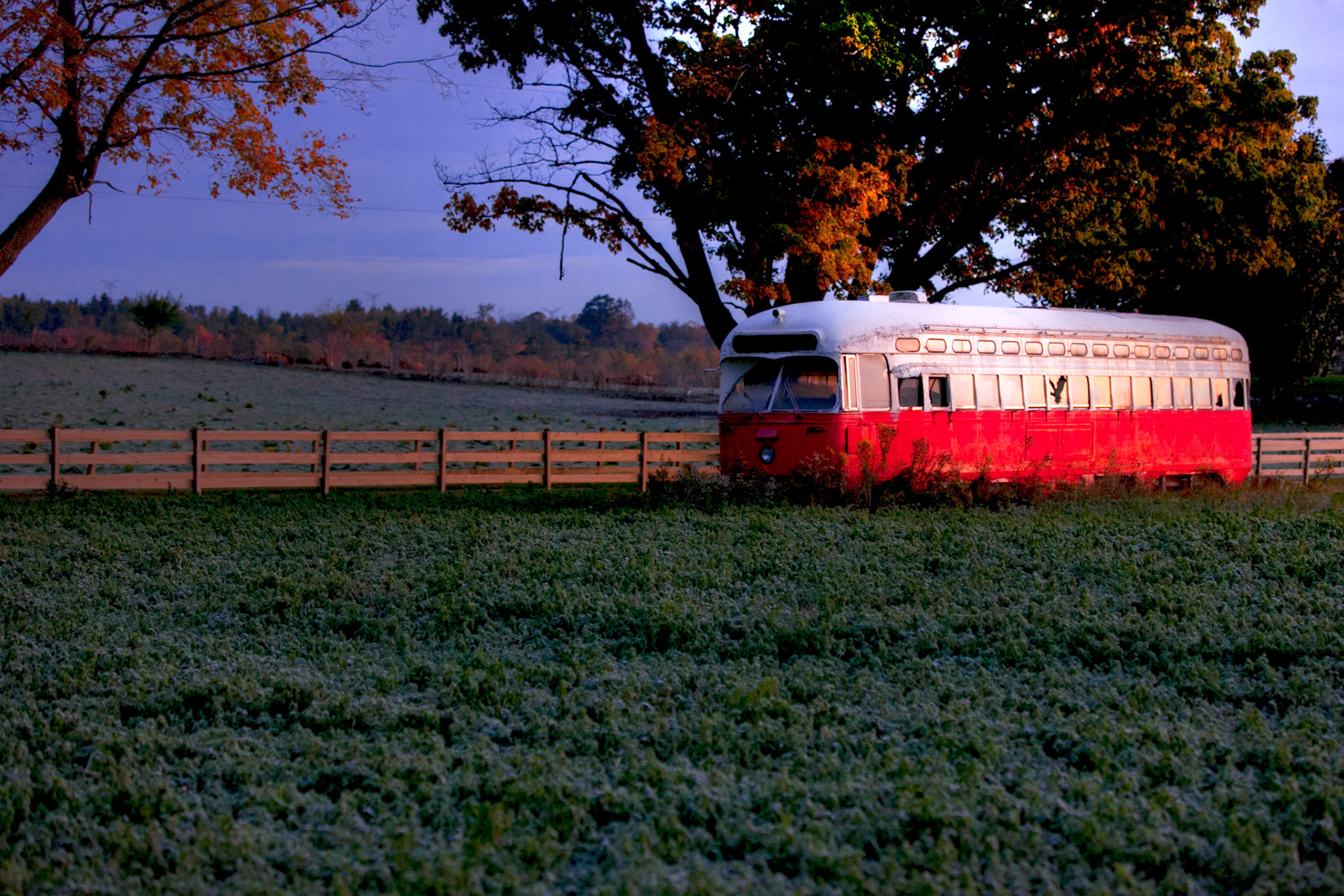 Photo by Sara Clausnitzer (www.saraclausnitzer.com)