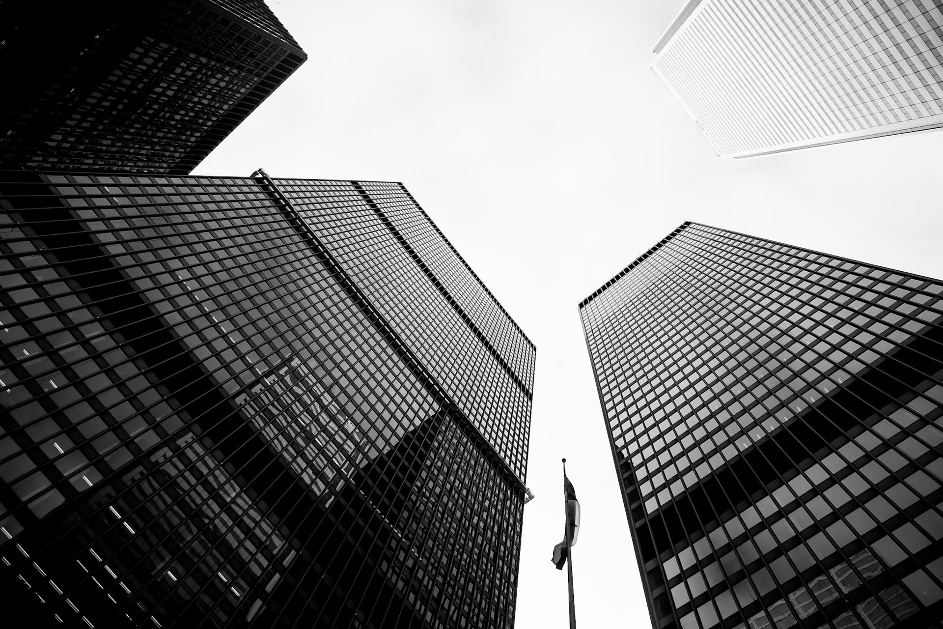 Photo by Sara Clausnitzer (www.saraclausnitzer.com)