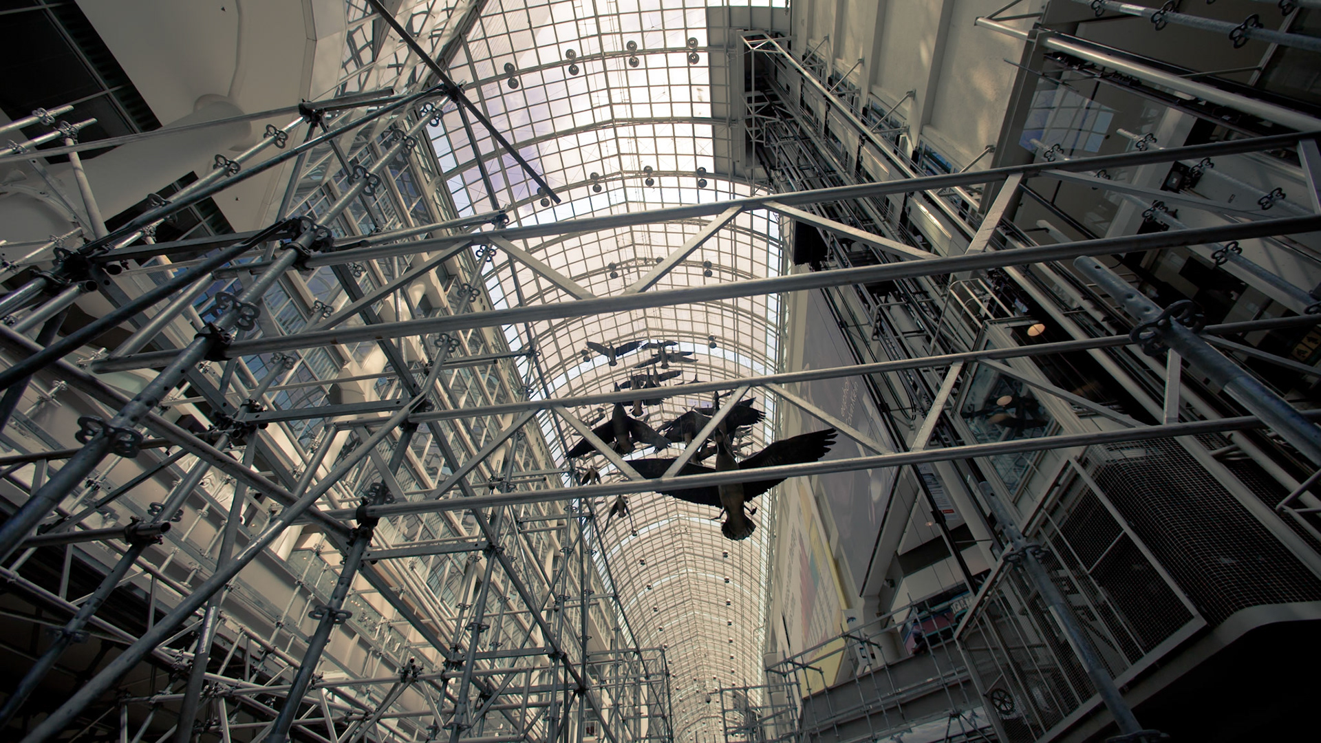 Photo by Sara Clausnitzer (www.saraclausnitzer.com)