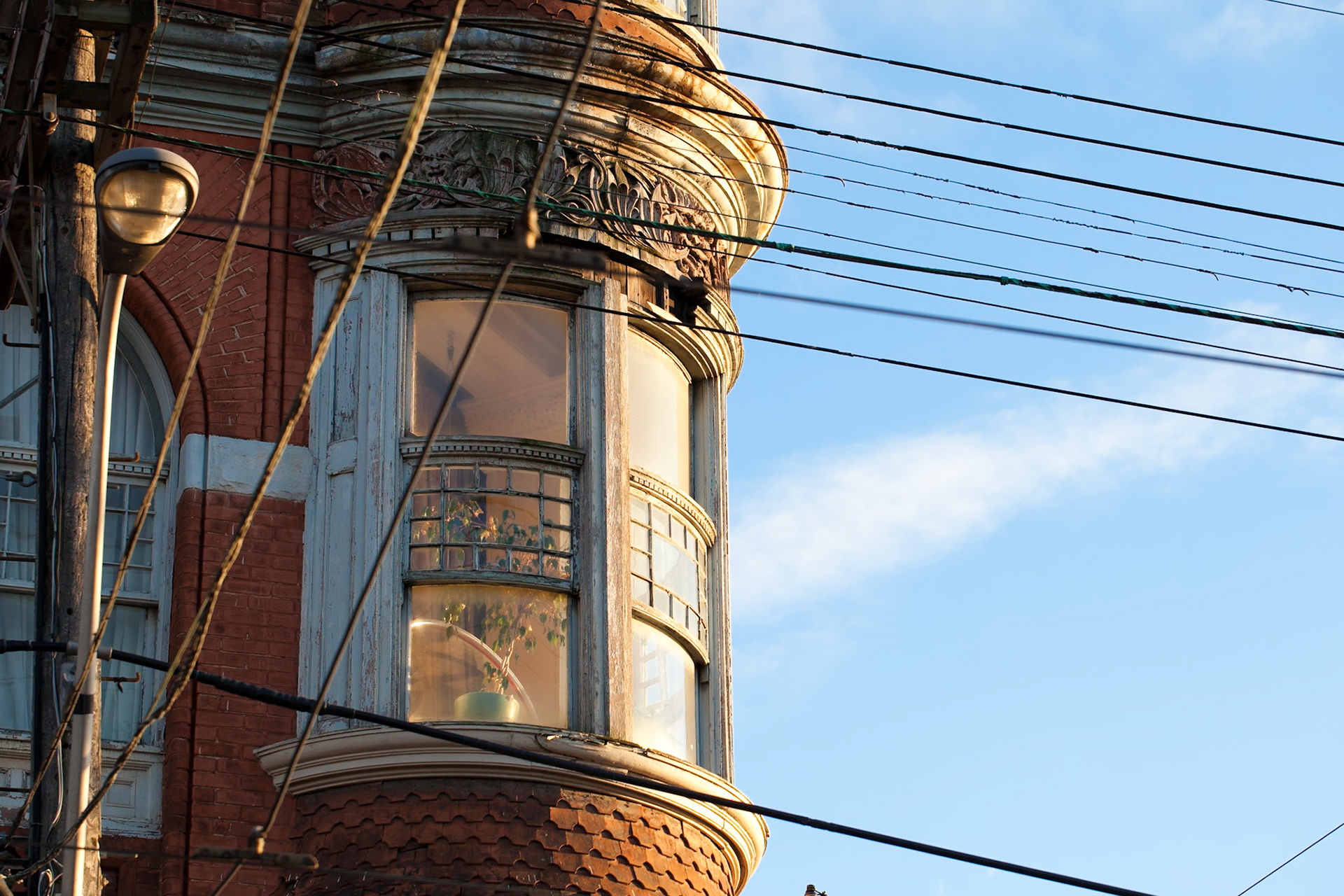 Photo by Sara Clausnitzer (www.saraclausnitzer.com)