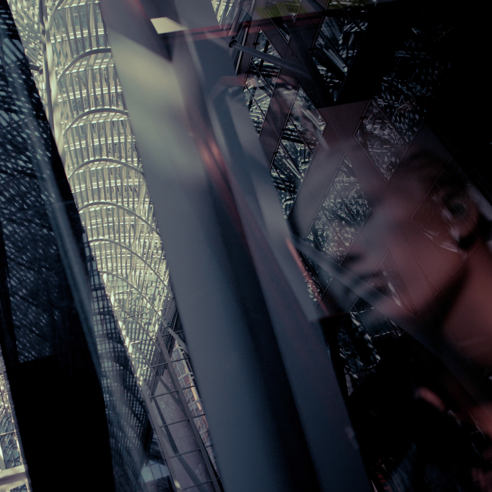 Photo by Sara Clausnitzer (www.saraclausnitzer.com)