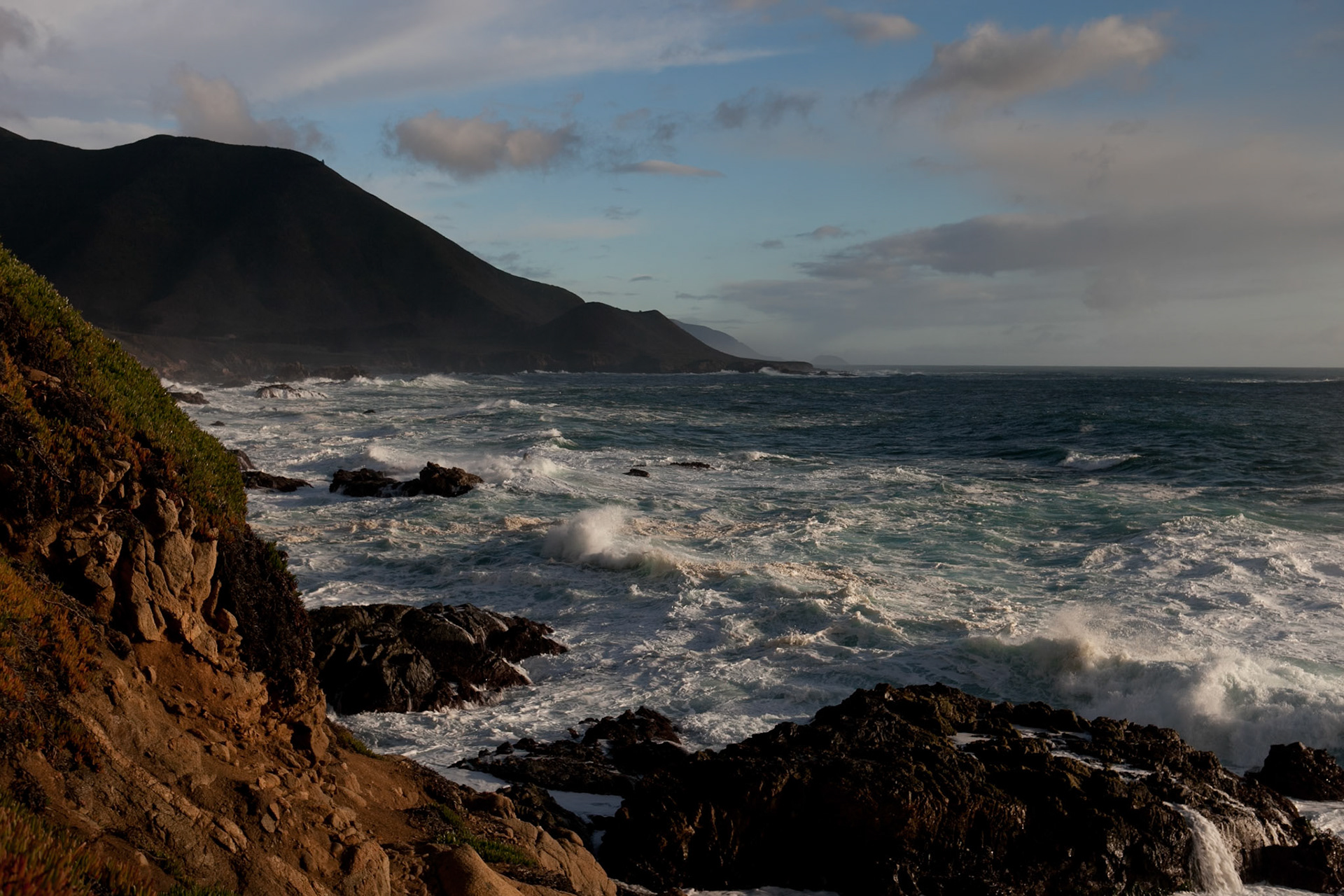 Photo by Sara Clausnitzer (www.saraclausnitzer.com)