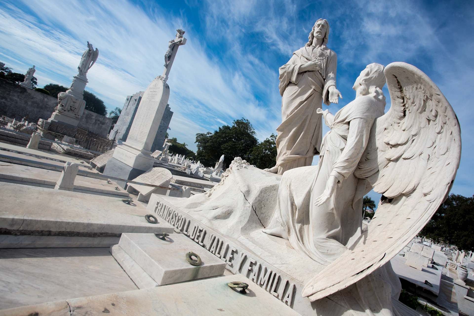 Photo by Sara Clausnitzer (www.saraclausnitzer.com)