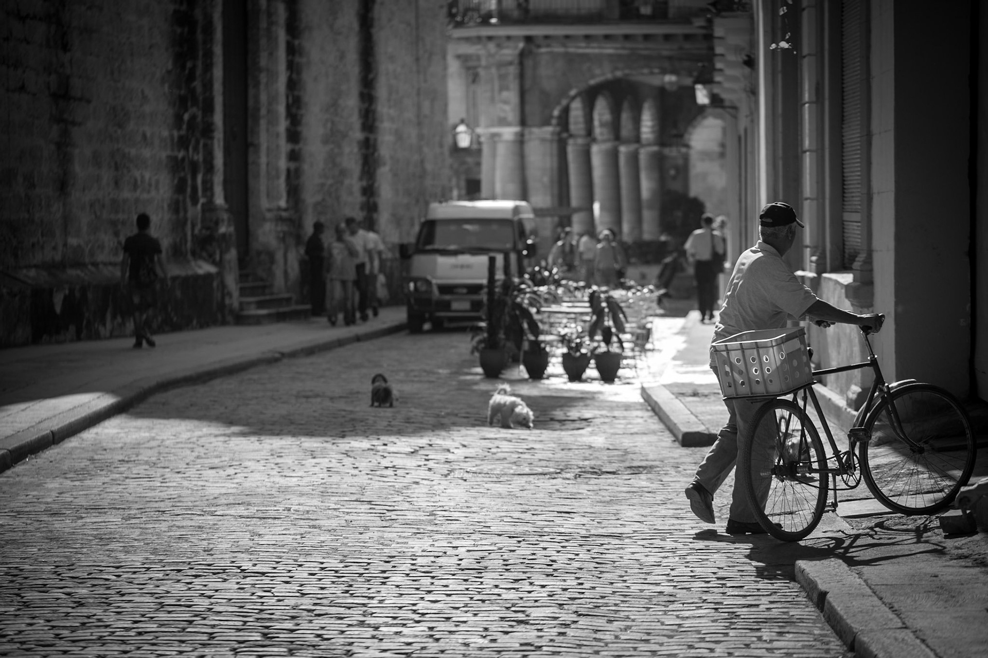 Photo by Sara Clausnitzer (www.saraclausnitzer.com)