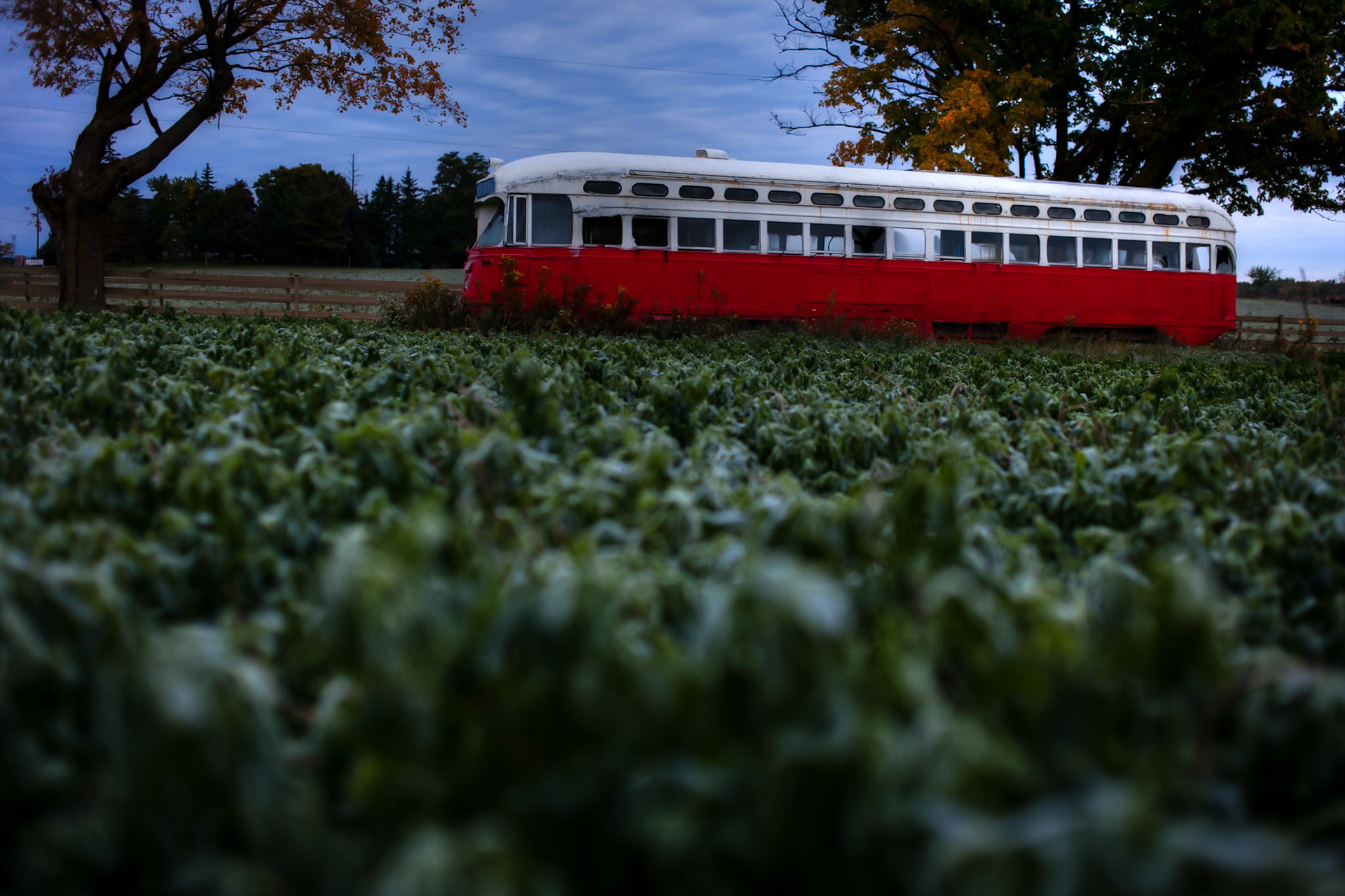 Photo by Sara Clausnitzer (www.saraclausnitzer.com)