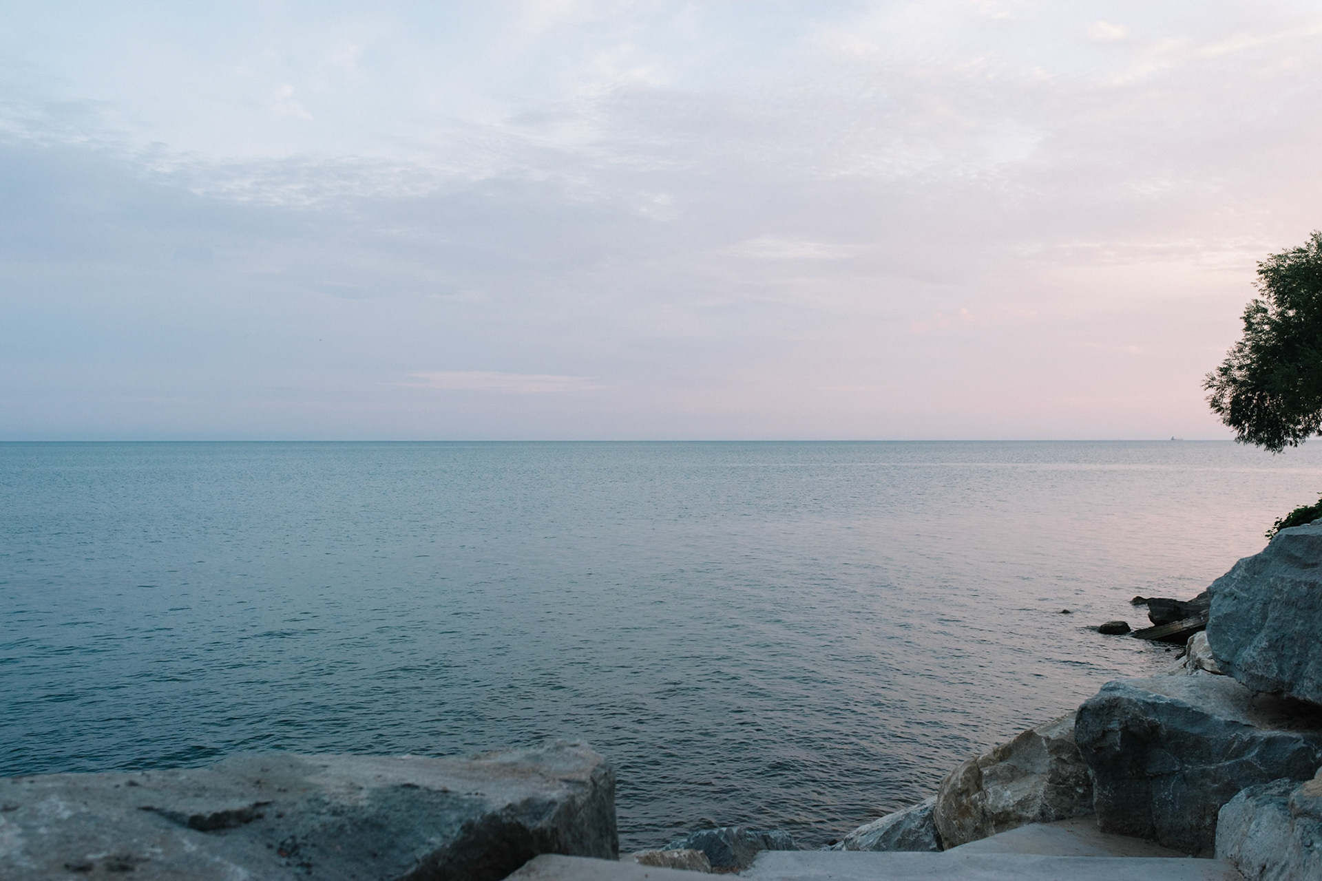 245/365 Backyard View