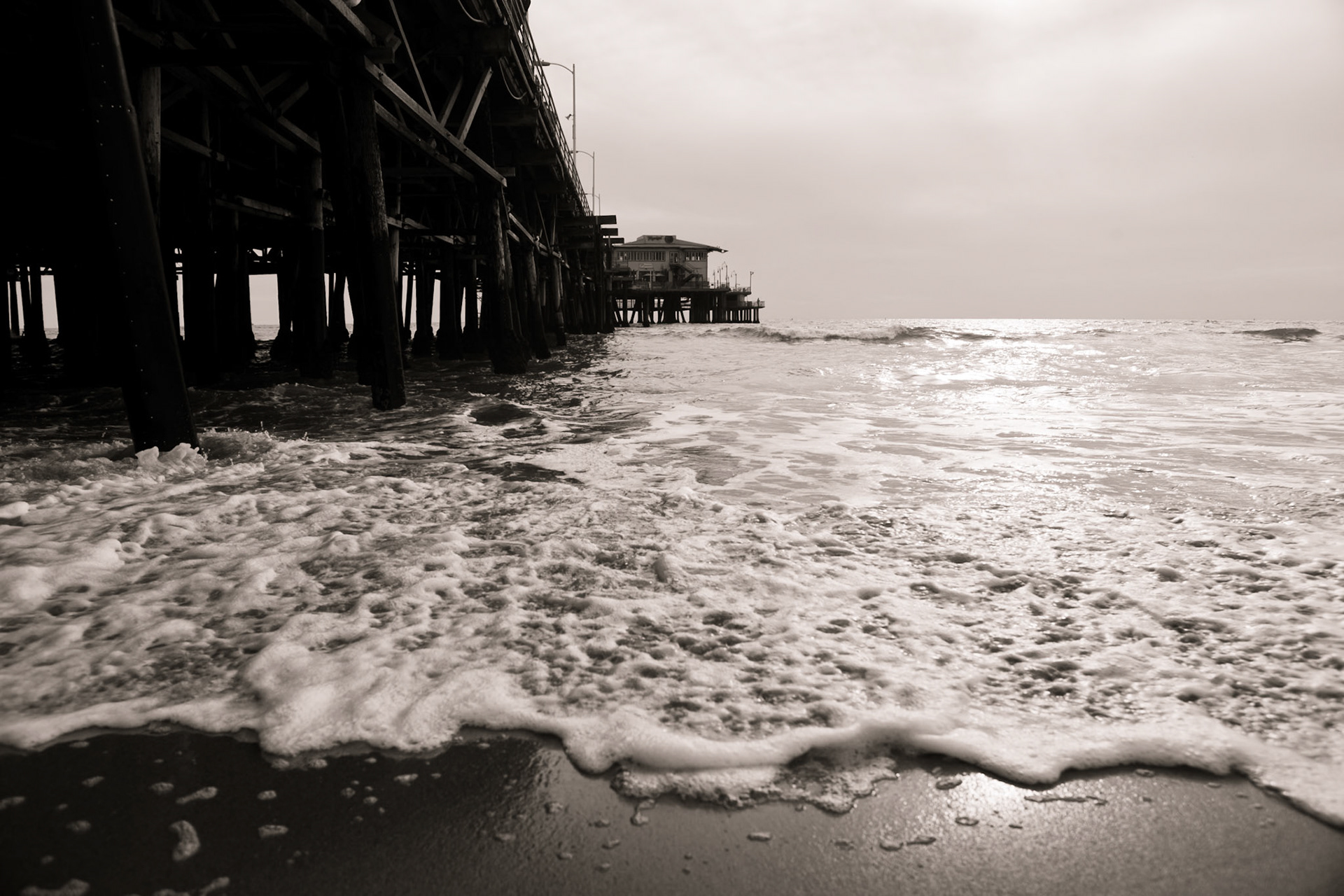 Photo by Sara Clausnitzer (www.saraclausnitzer.com)