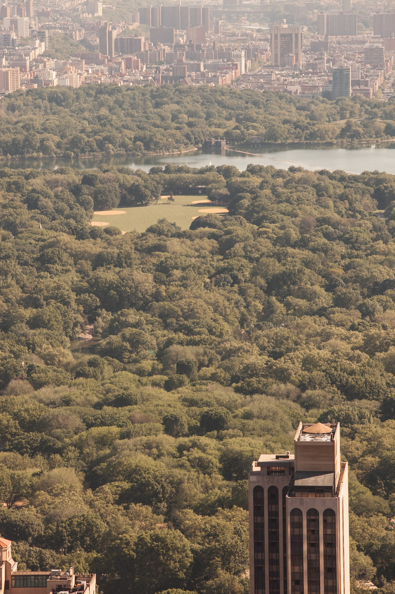 Photo by Sara Clausnitzer (www.saraclausnitzer.com)