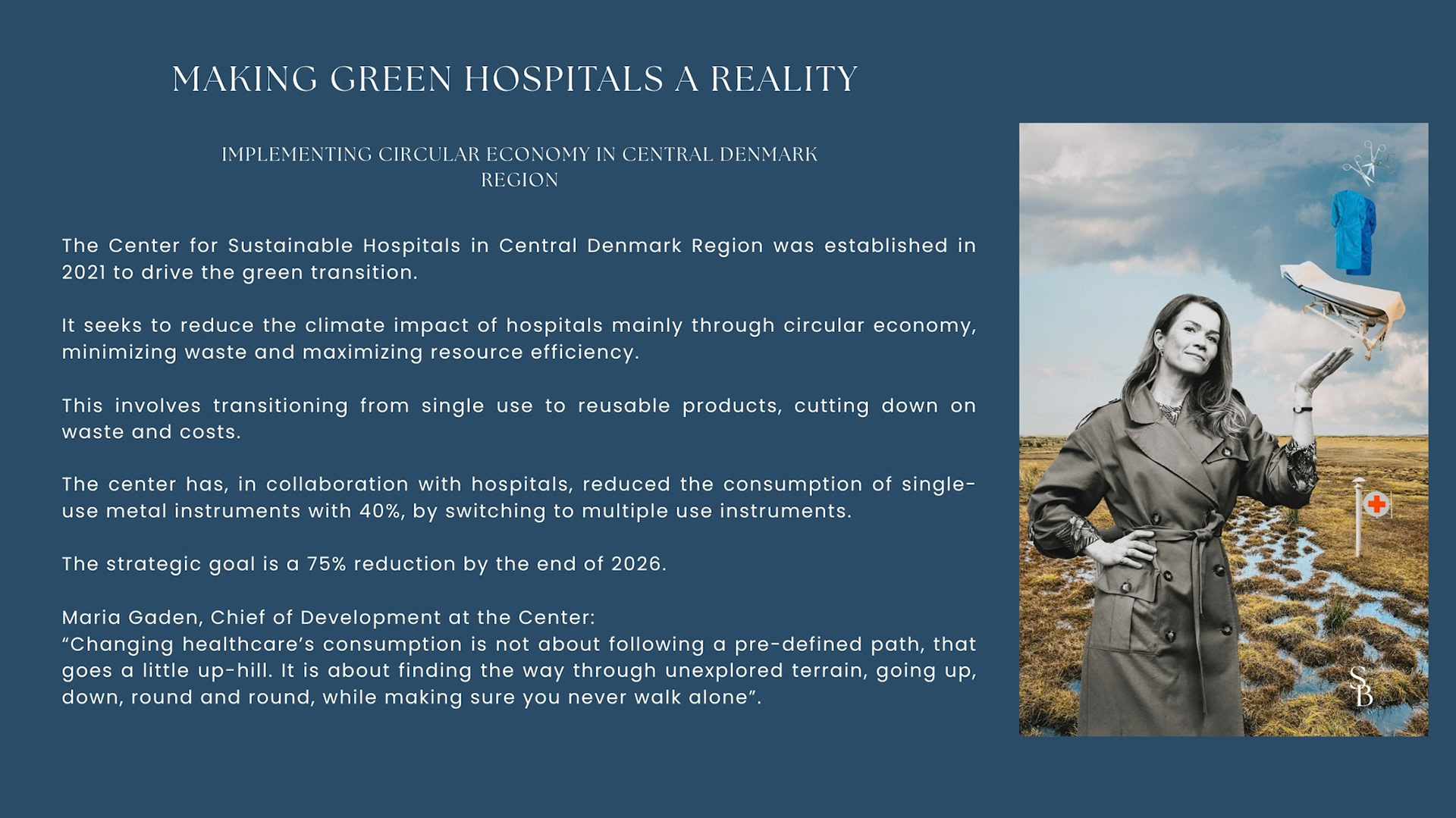 A3 FULL text (Hjemmeside) - Hospitals