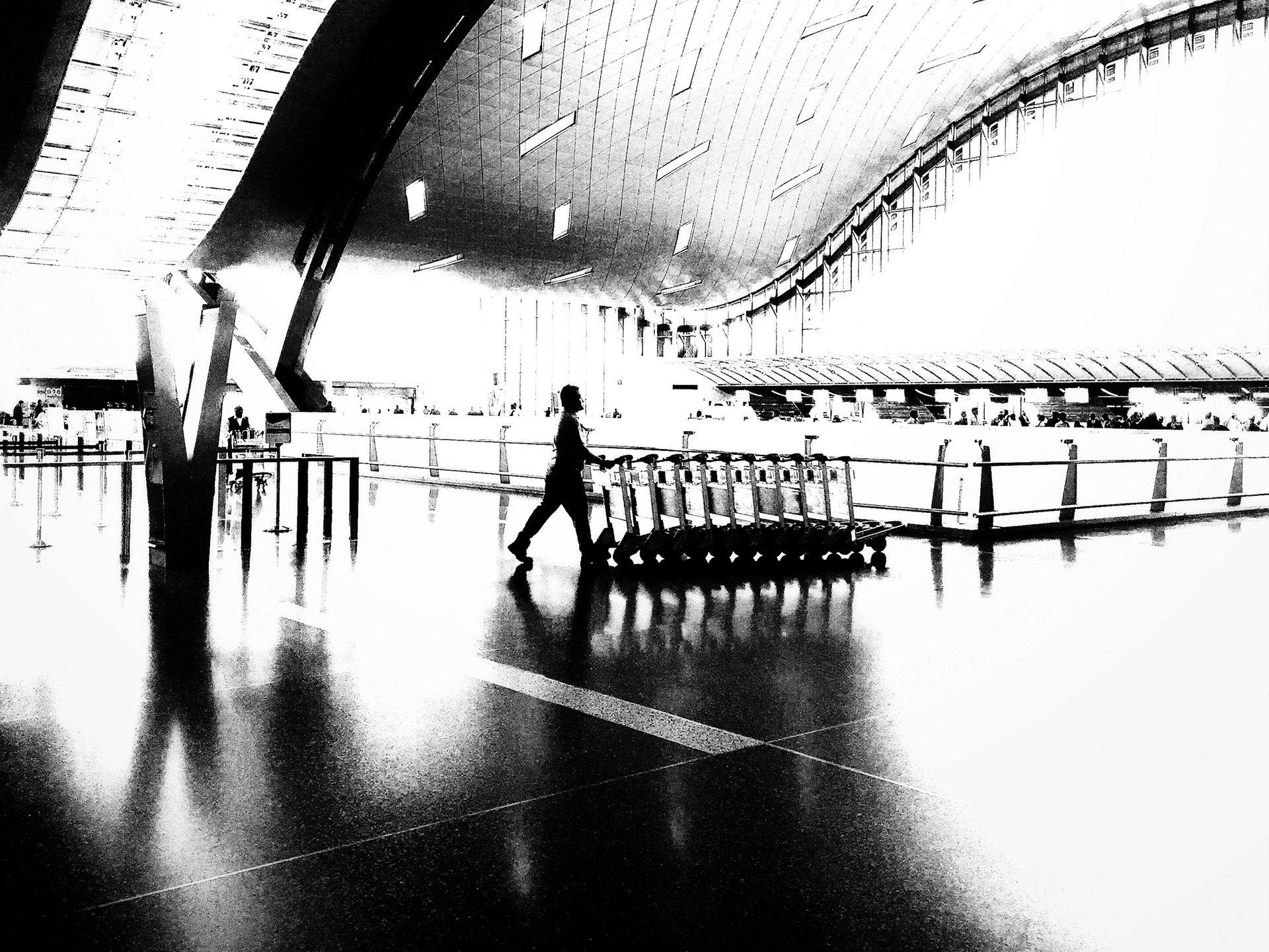 Trolley Guy at Airport. Qatar, 2016