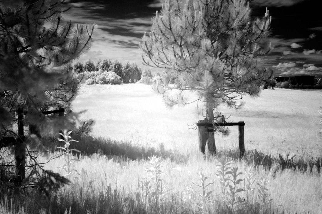 Exhibition pudding fabriek