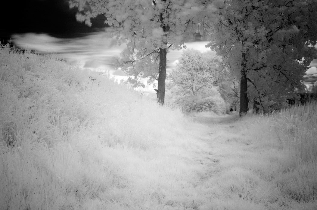 Exhibition pudding fabriek