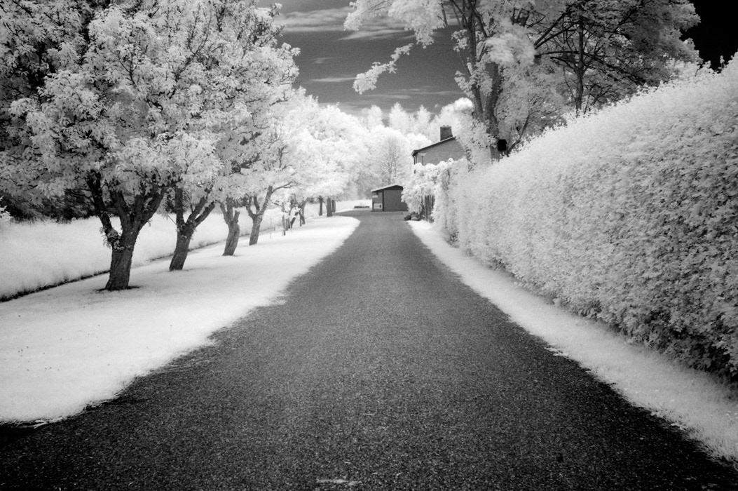 Exhibition pudding fabriek